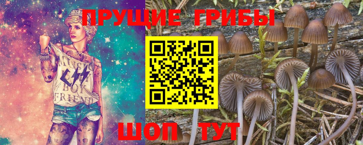 Псилоцибиновые грибы ЛСД Асино