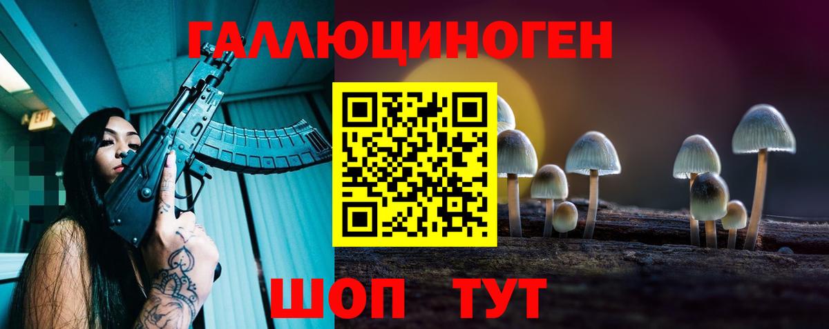 Асино  дарнет шоп  Вход с VPN  Галлюциногенные грибы Cubensis 